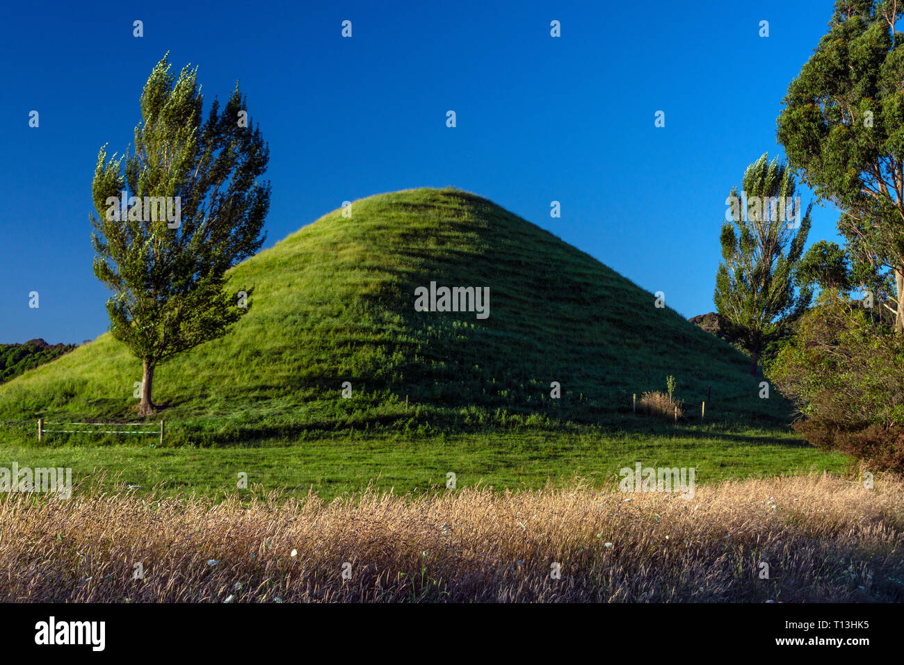 One of many natural pyramid type mounds made from river silt, overgrown with lush grass. These can be seen throughout the North Island of New Zealand. Stock Photo