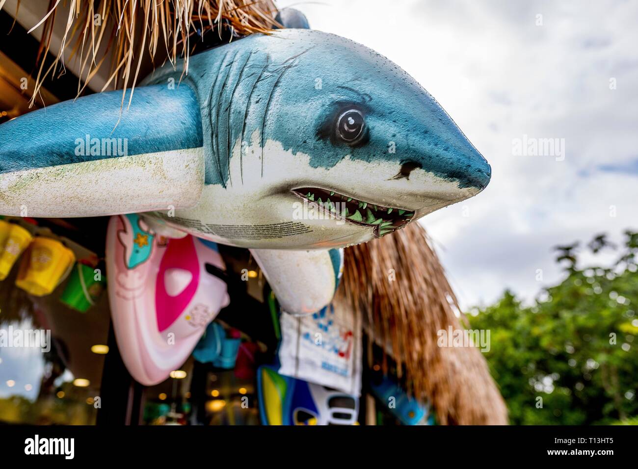 Bright and colourful great white shark inflatable toys outside a souvenir shop in a beach resort in the caribbean area of the Riviera Maya in Mexico. Stock Photo