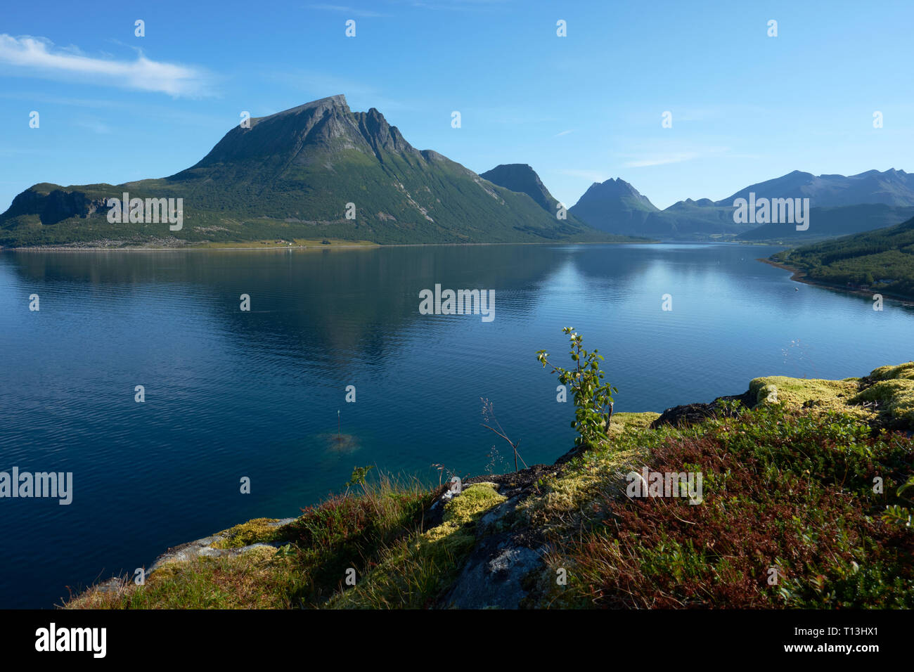 Looking across to Aldra island in Luroy Nordland Norway Stock Photo