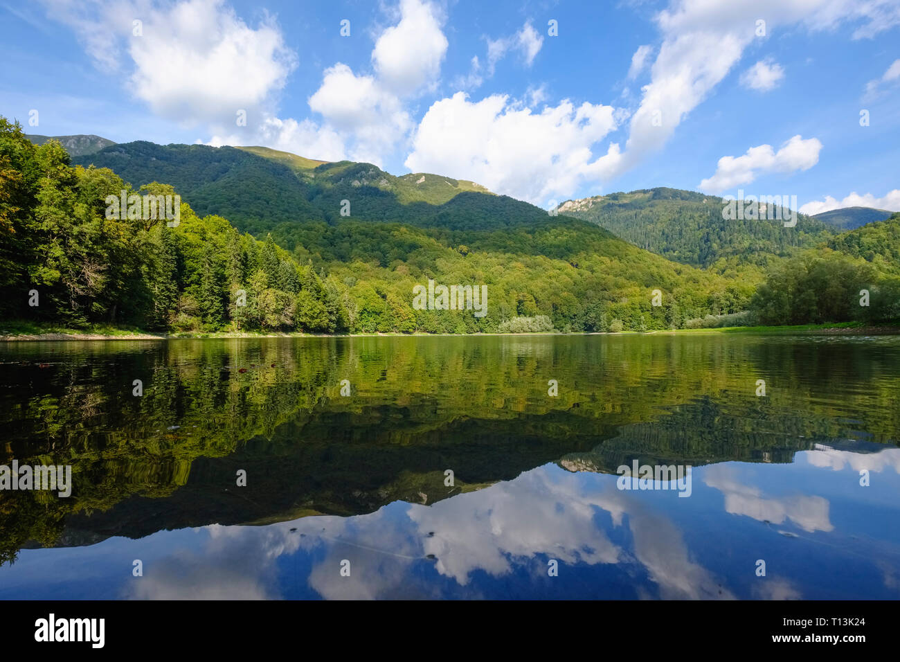 Montenegro, Kolasin province, Biogradsko Jezero National Park, Lake Biograd Stock Photo