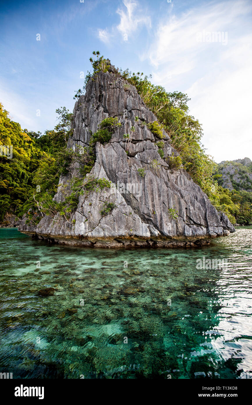 Philippines, Palawan, Coron Island, Green Lagoon Stock Photo
