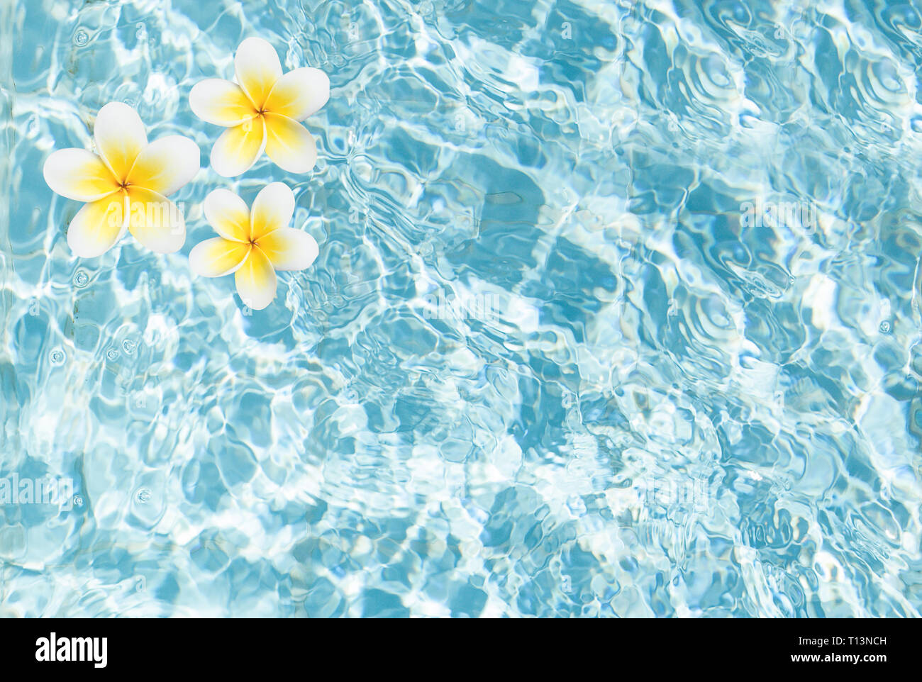 Blue Water Texture With Tropic Flowers Top View Pool Water Surface Background Stock Photo Alamy