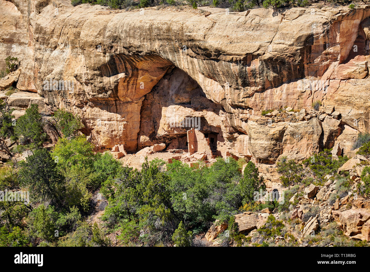 Cliff dwellings in Mesa-Verde-National Park, UNESCO world heritage site, Colorado, USA, North America Stock Photo