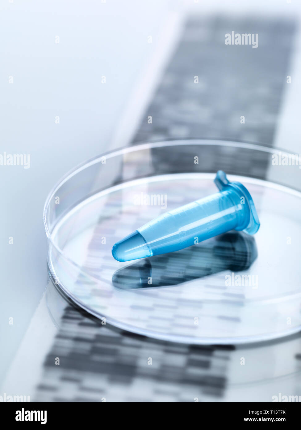 Eppendorf vial containing a human sample with the DNA autoradiogram results Stock Photo