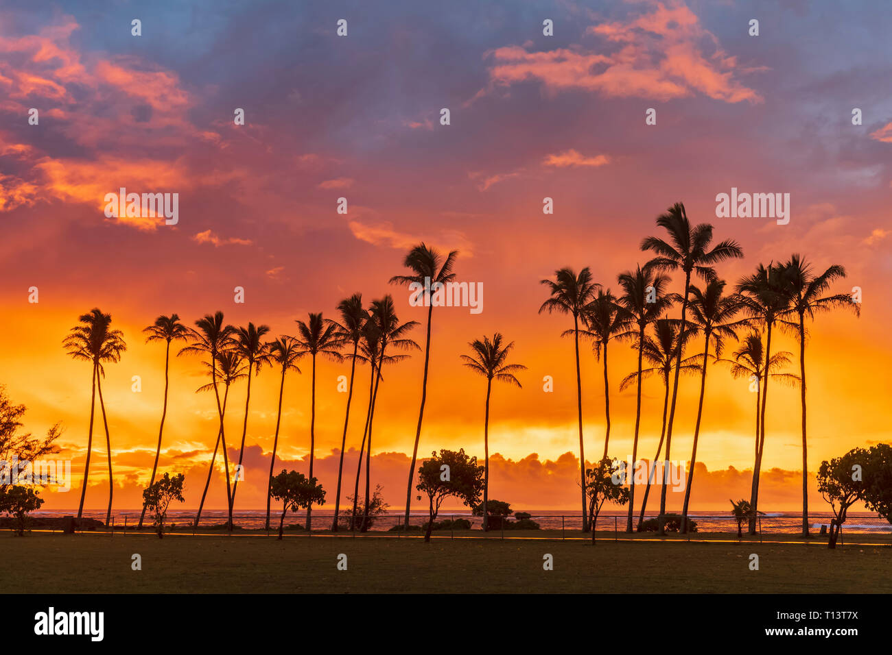 USA, Hawaii, Kauai, Pacific Ocean, Kapa'a Beach Park, palms at sunrise Stock Photo