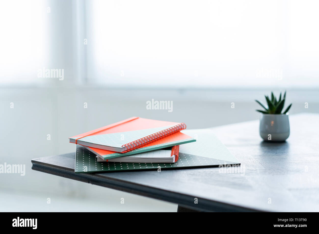 Stack of notebooks and potted plant on a table Stock Photo