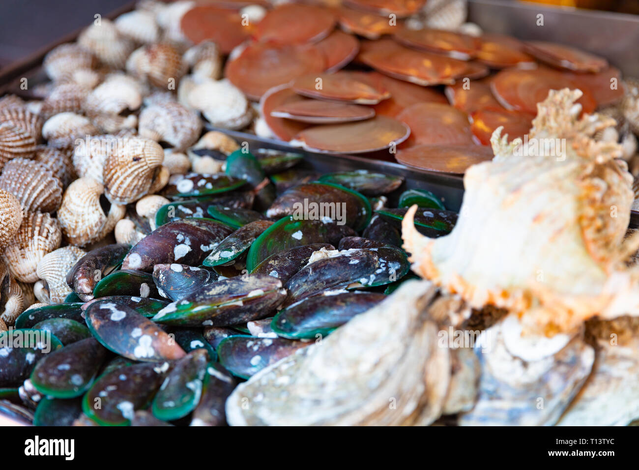 Seafood For Sale At Local Thai Market Street Stock Photo