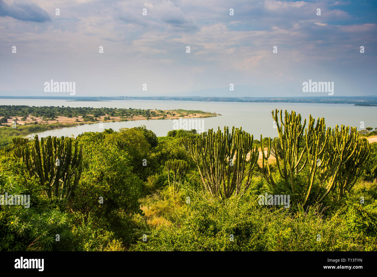 Africa, Uganda, Kazinga channel linking lake george and lake Edward, Queen Elizabeth National Park Stock Photo