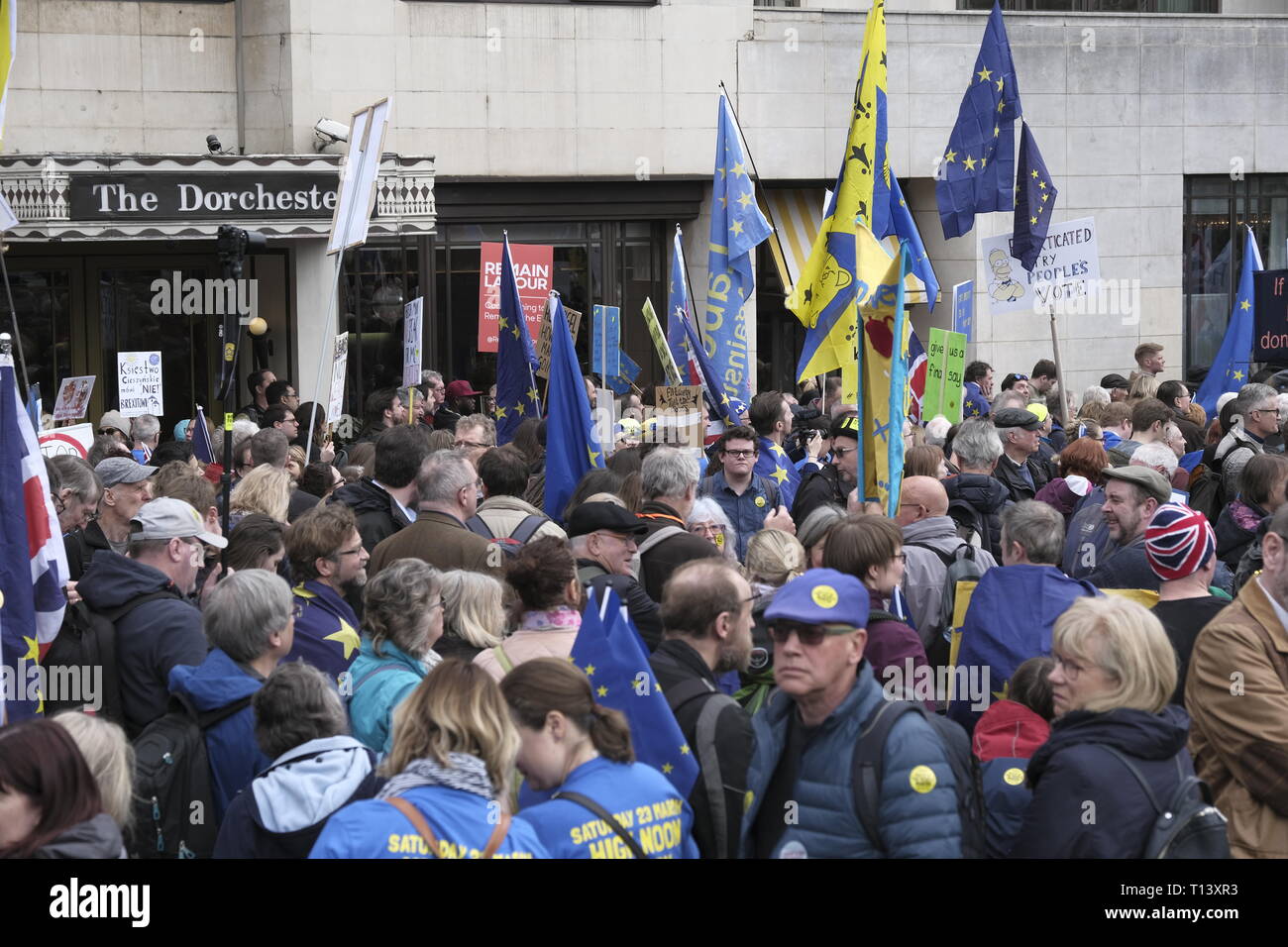 London, UK, 23rd March, 2019. Protesters demand that any Brexit is put to a people’s vote  Credit: Martin Kelly/Alamy Live News. Stock Photo