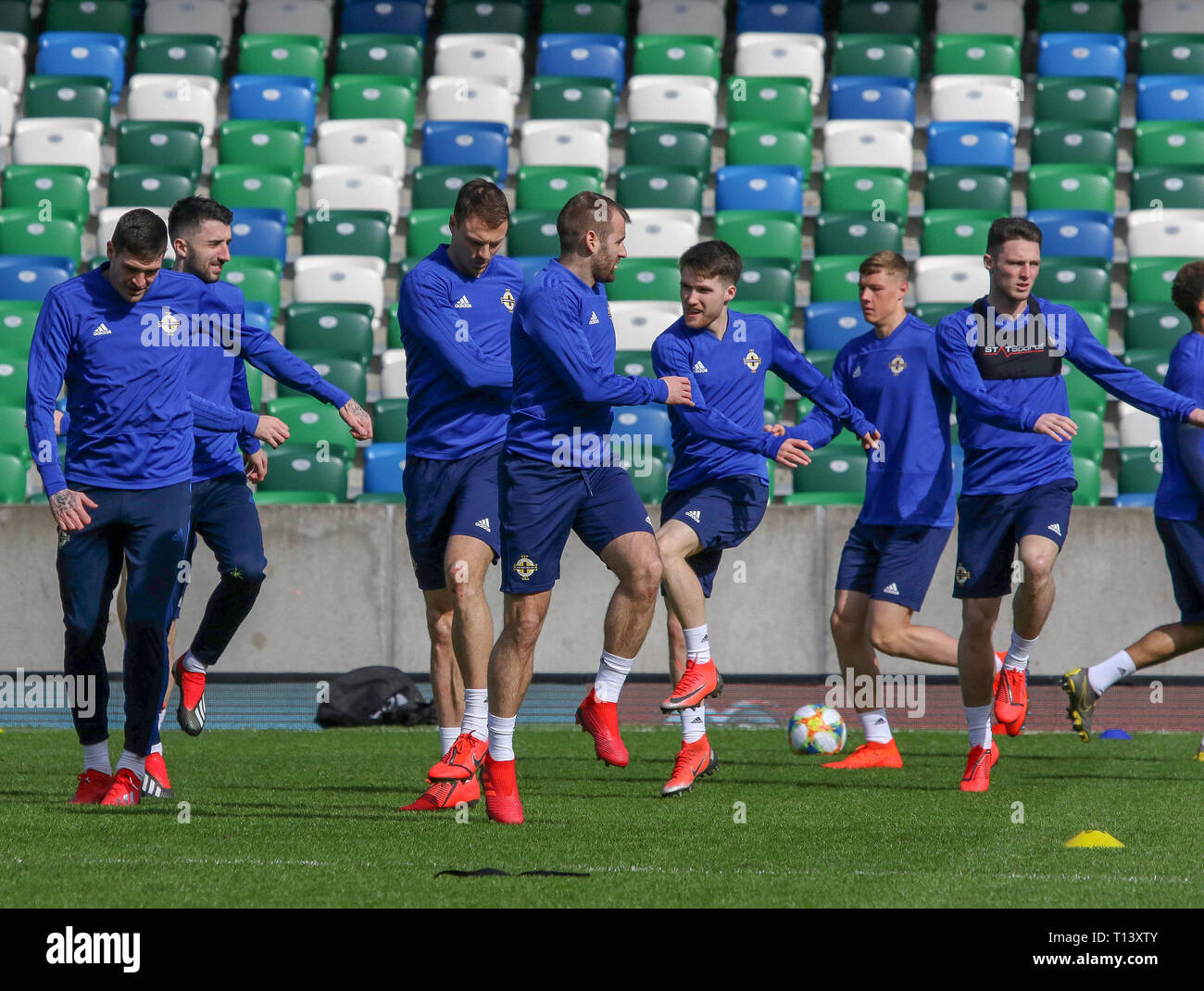 Windsor Park, Belfast, Northern Ireland. 23 March 2019. Northern Ireland training in Belfast this morning ahead of their UEFA EURO 2020 Qualifier against Belarus tomorrow night in the stadium. Credit: David Hunter/Alamy Live News. Stock Photo