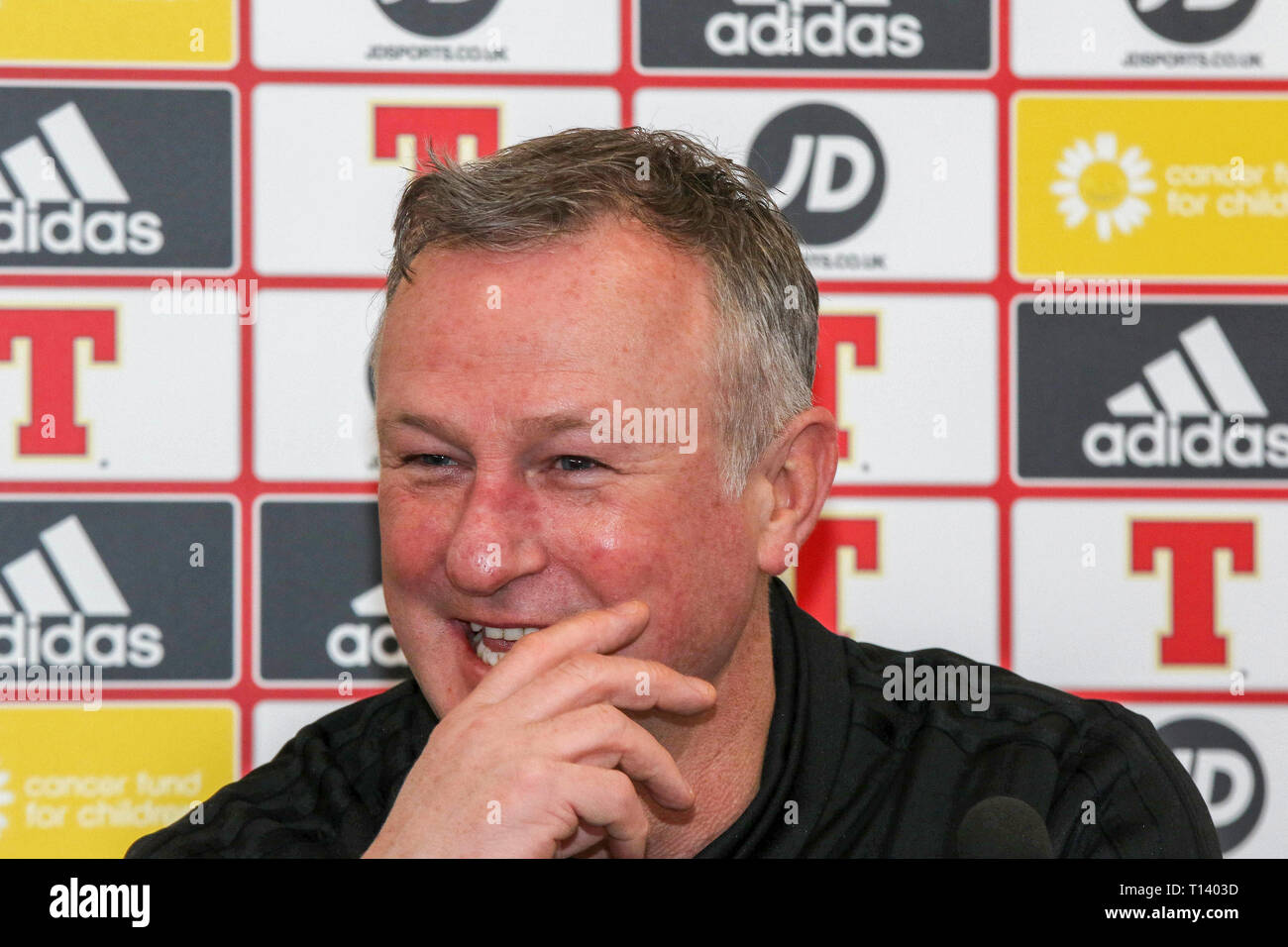 Windsor Park, Belfast, Northern, Ireland. 23rd Mar, 2019. Northern Ireland manager Michael O'Neill at today's press conference in Belfast. Northern Ireland play Belarus at Windsor Park tomorrow evening in their second UEFA EURO 2020 Qualifying game. On Friday night Northern Ireland defeated Estonia 2-0 in their first qualifying game. Credit: David Hunter/Alamy Live News Stock Photo