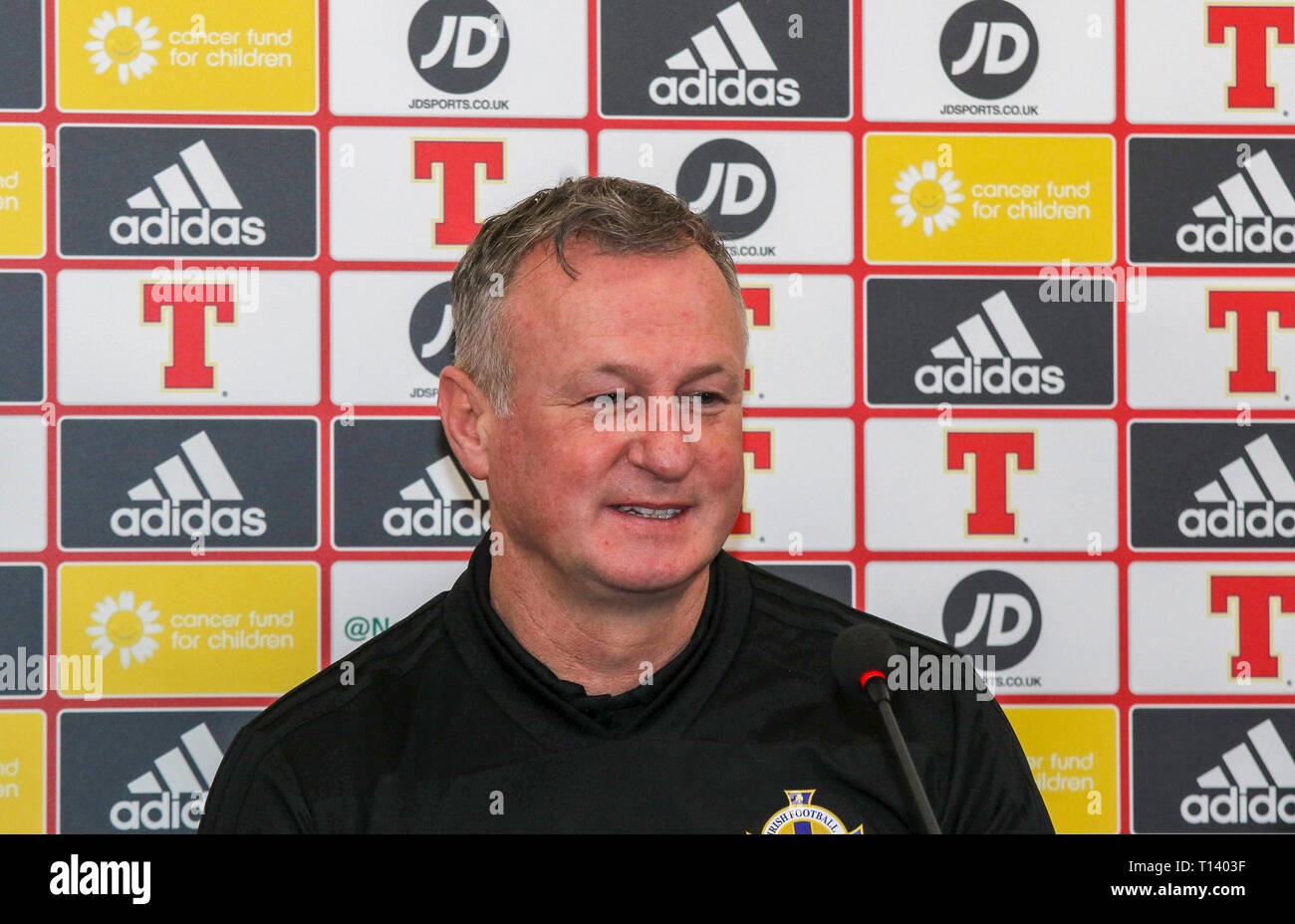 Windsor Park, Belfast, Northern, Ireland. 23rd Mar, 2019. Northern Ireland manager Michael O'Neill at today's press conference in Belfast. Northern Ireland play Belarus at Windsor Park tomorrow evening in their second UEFA EURO 2020 Qualifying game. On Friday night Northern Ireland defeated Estonia 2-0 in their first qualifying game. Credit: David Hunter/Alamy Live News Stock Photo