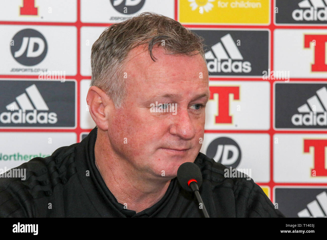 Windsor Park, Belfast, Northern, Ireland. 23rd Mar, 2019. Northern Ireland manager Michael O'Neill at today's press conference in Belfast. Northern Ireland play Belarus at Windsor Park tomorrow evening in their second UEFA EURO 2020 Qualifying game. On Friday night Northern Ireland defeated Estonia 2-0 in their first qualifying game. Credit: David Hunter/Alamy Live News Stock Photo