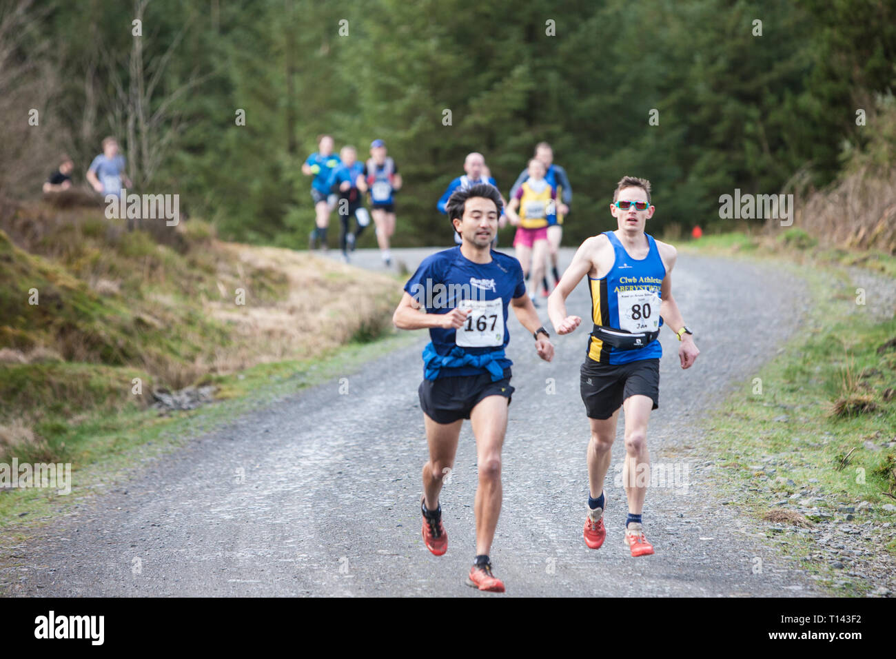Ceredigion, West, Mid Wales, UK. 23rd March, 2019. Winner of the race is number 167, in a time of 1 hour 30 minutes,20 minutes faster than last year. Nant Silver Trail Half Marathon, Nant Yr Arian, near Aberystwyth, Ceredigion, West, Mid Wales, UK Credit: Paul Quayle/Alamy Live News Stock Photo