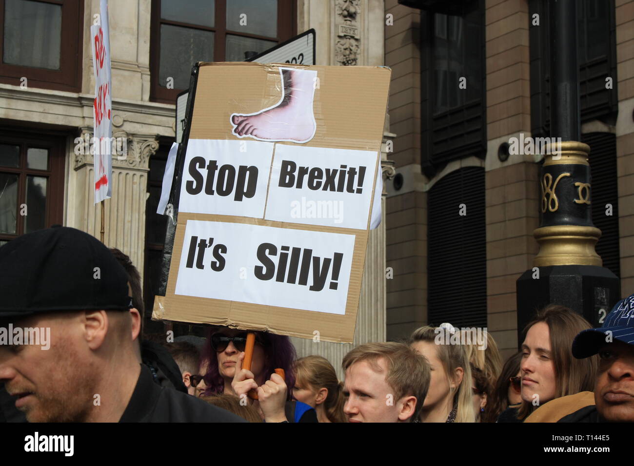 London, UK, 23rd March, 2019. Protesters gather in Parliament Square for the Put it to the People: People's Vote march against Brexit, London, UK. Credit: Helen Garvey/Alamy Live News Stock Photo