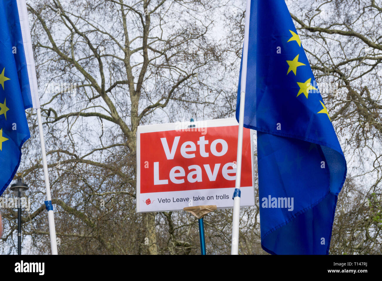 London, UK. 23 March 2019. Over 1,000,000 people are estimated to have taken part in the March for a People's Vote today, from Park Lane to Parliament Square in London. UrbanImages-News/Alamy Live News Stock Photo