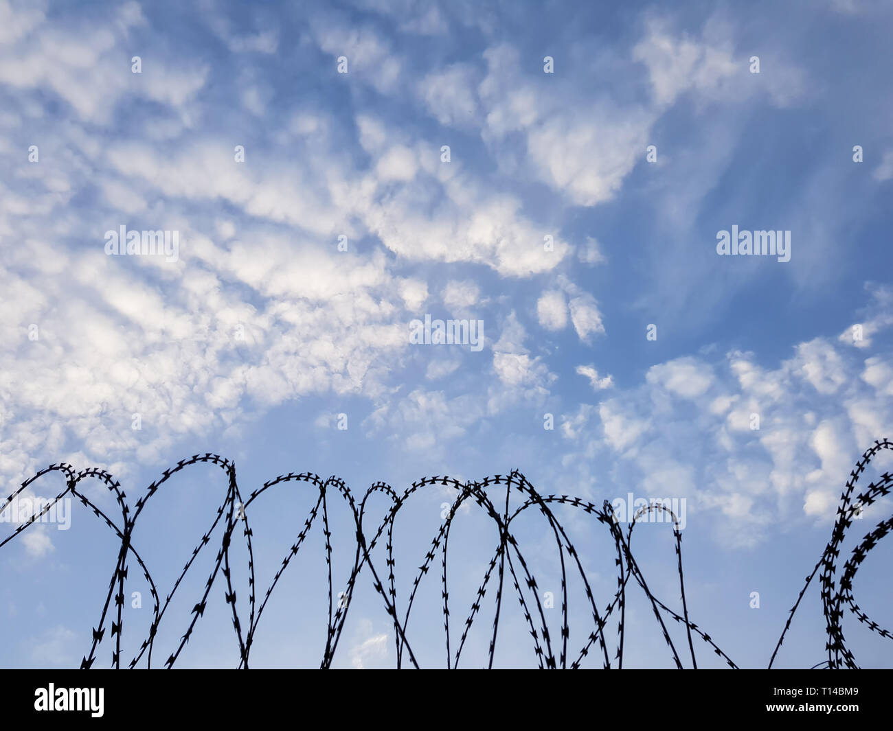 Razor wire coils on a security fence. High security facility or restricted area. Prison, incarceration or detention concept - border wall. Stock Photo