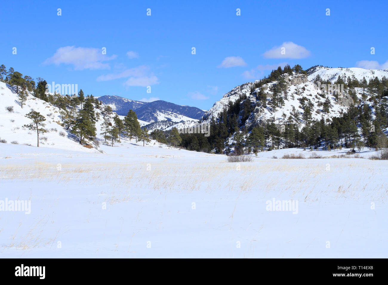 Big belt mountains hires stock photography and images Alamy