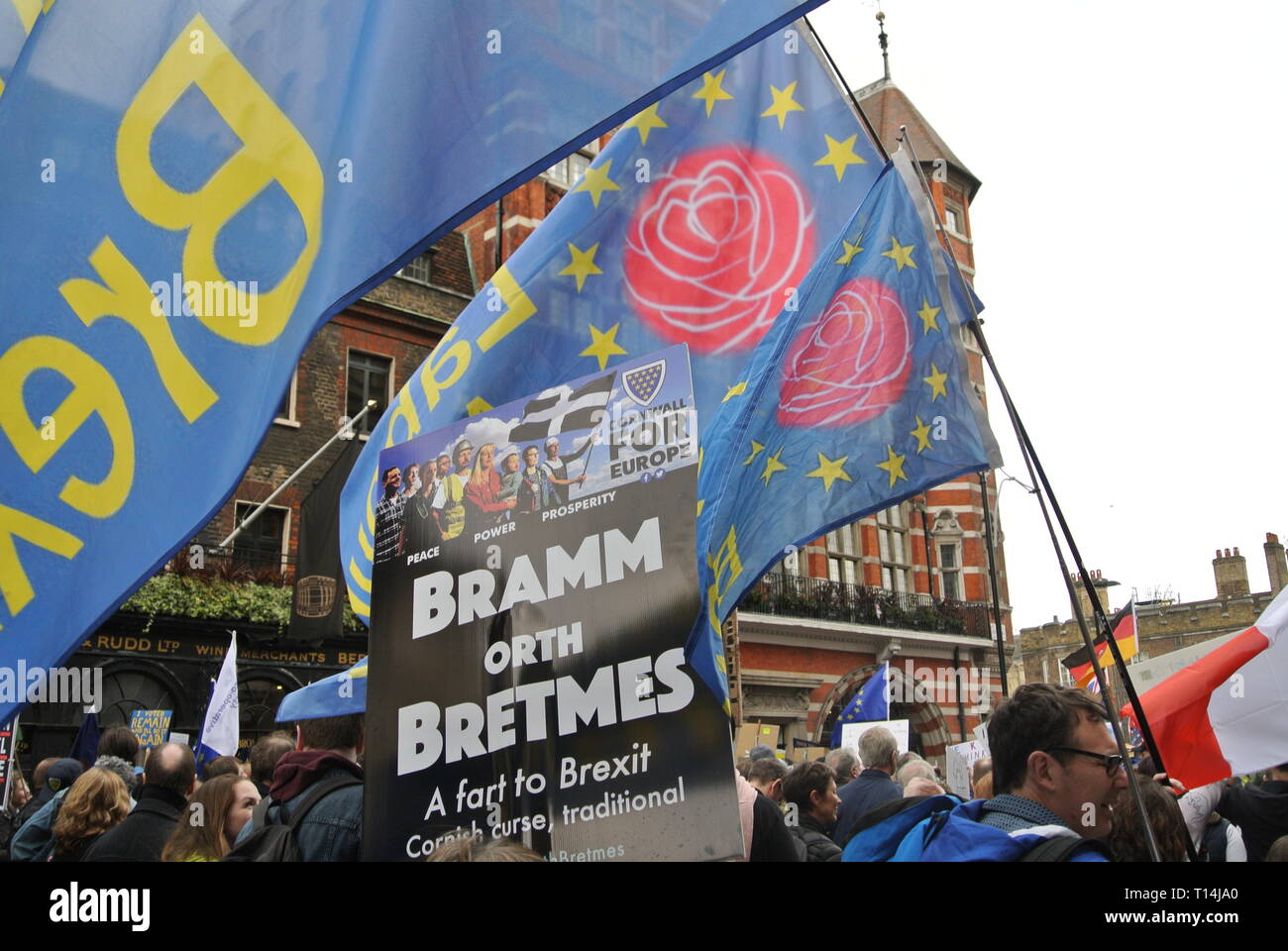 Brexit Flags The People S Vote March 2019 London Uk Stock