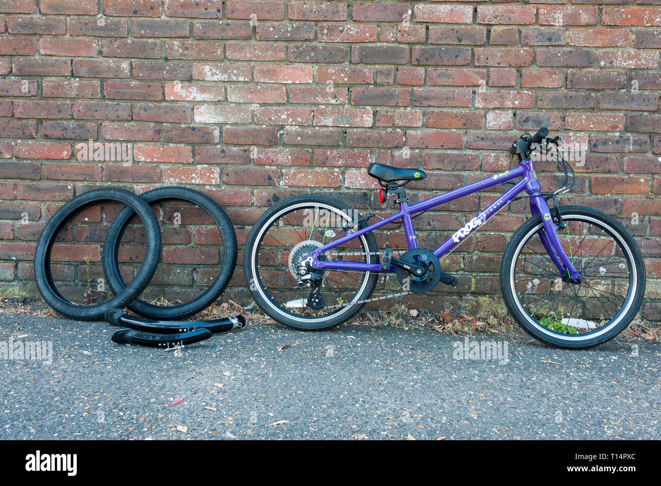 purple frog bike