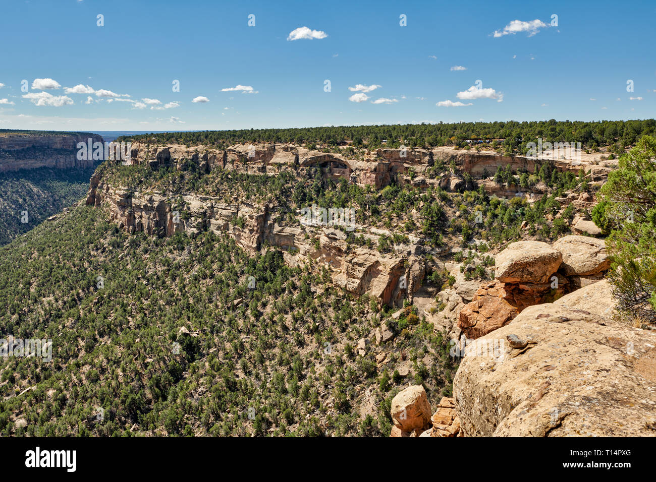 bird eye view of Balcony House, Cliff dwellings in Mesa-Verde-National Park, UNESCO world heritage site, Colorado, USA, North America Stock Photo