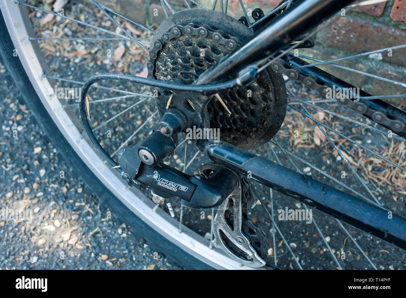 garmin speed cadence sensor gsc 10