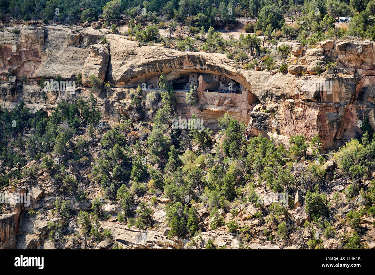 bird eye view of Balcony House, Cliff dwellings in Mesa-Verde-National Park, UNESCO world heritage site, Colorado, USA, North America Stock Photo
