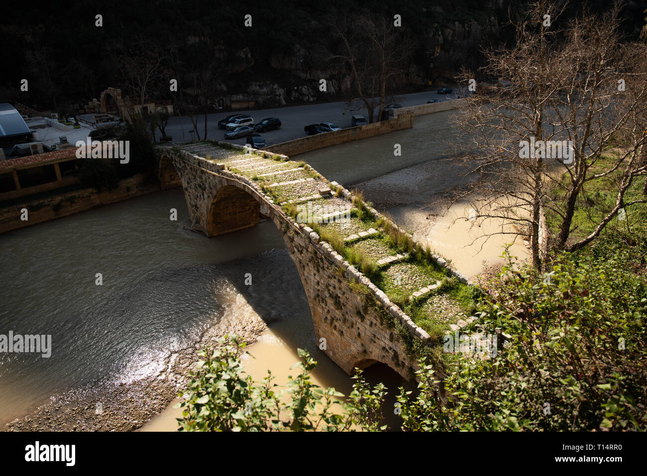 A medieval stone bridge built by Sultan Makluk archs over the Nahr al