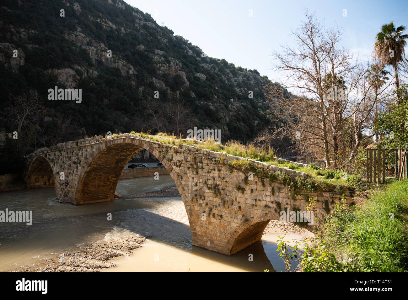 A medieval stone bridge built by Sultan Makluk archs over the Nahr al