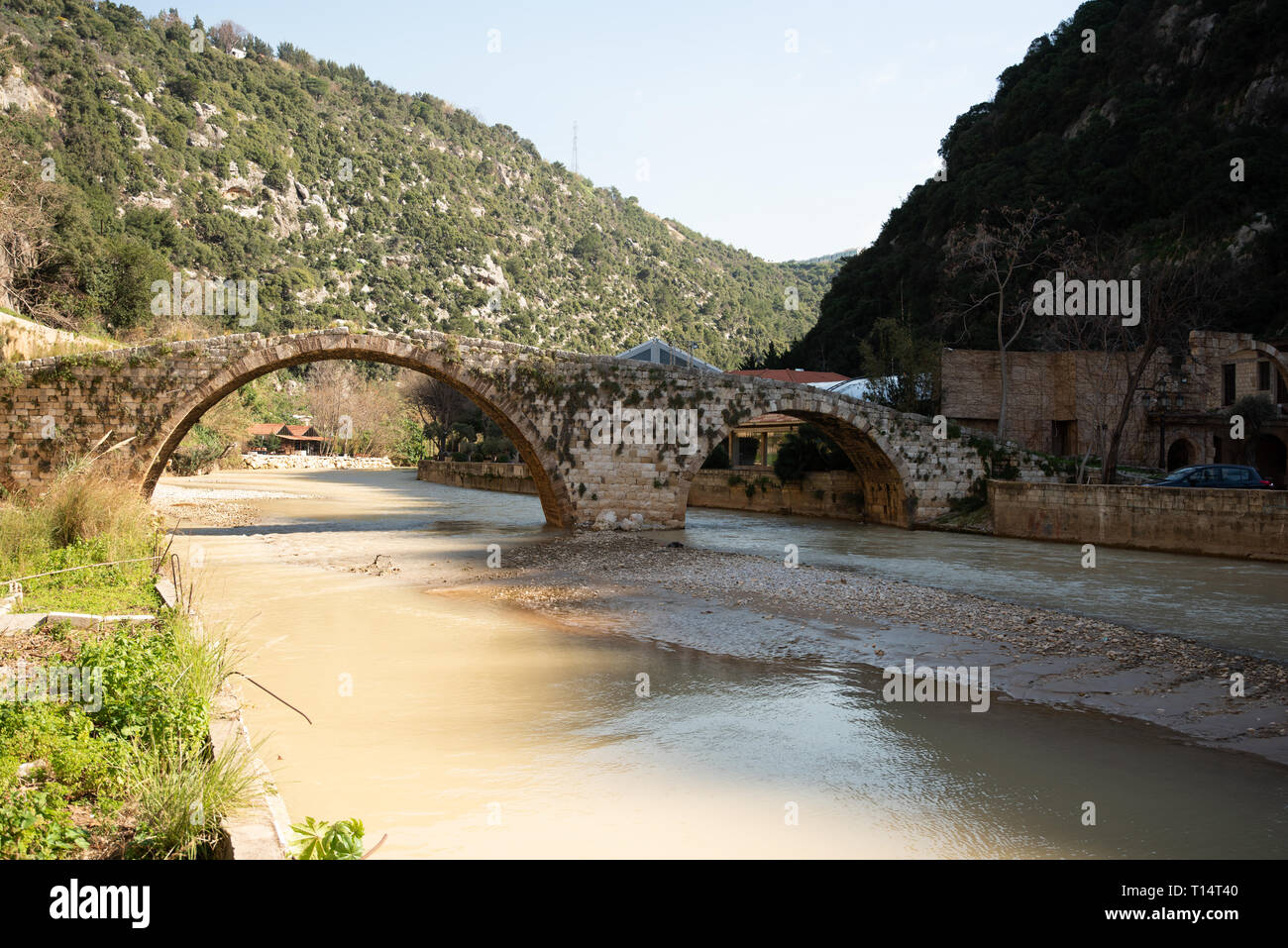 A medieval stone bridge built by Sultan Makluk archs over the Nahr al
