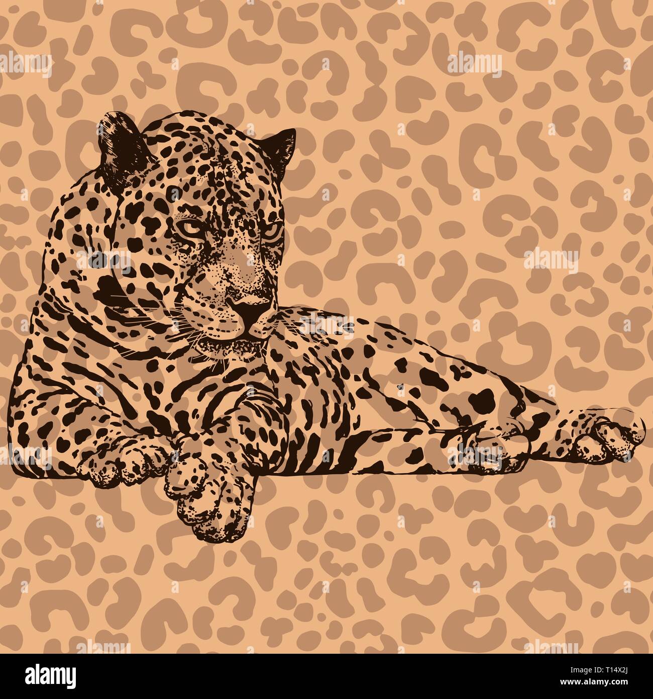 Hand drawn sketch style leopard. Vector illustration Stock Vector Image ...