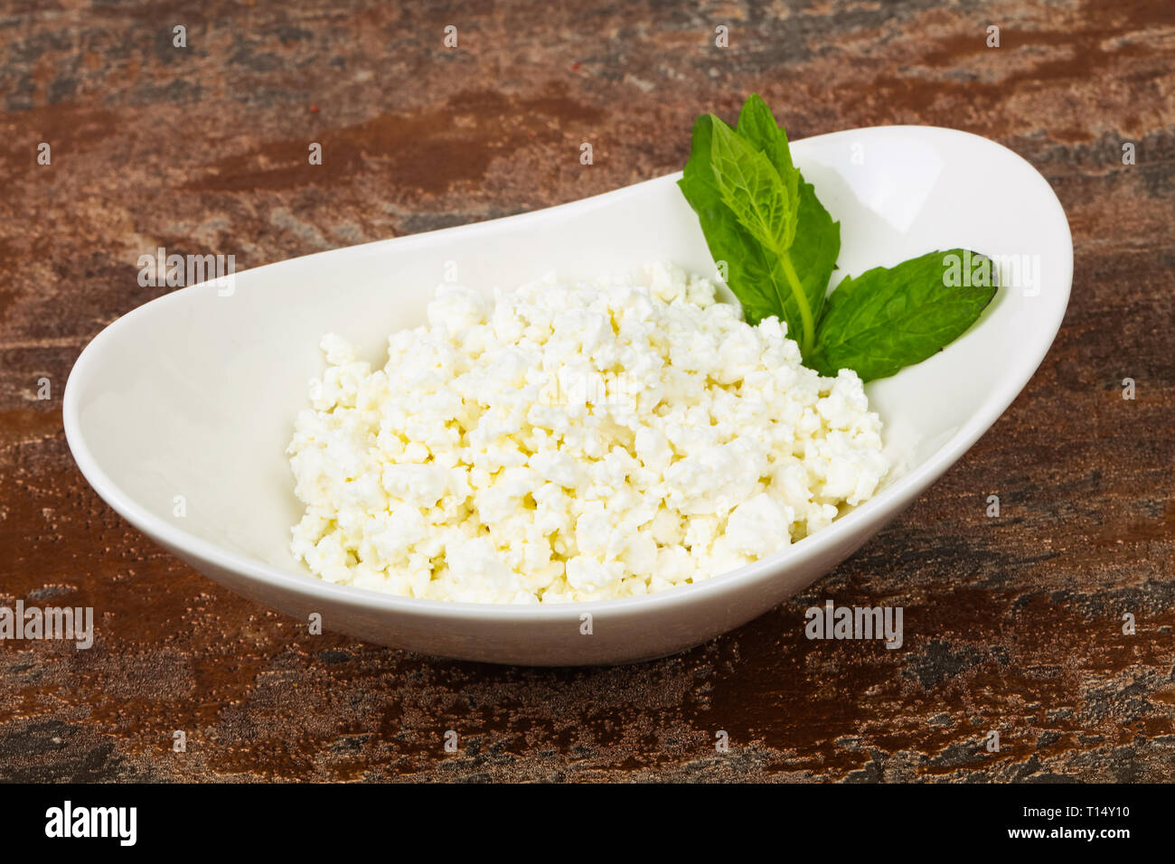 Natural Cottage Cheese Served Mint Leaves Stock Photo 241668812