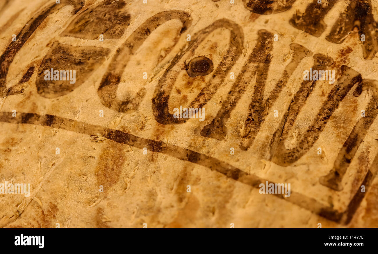 coconut close up background, concept healthy food and low fat nutrition Stock Photo