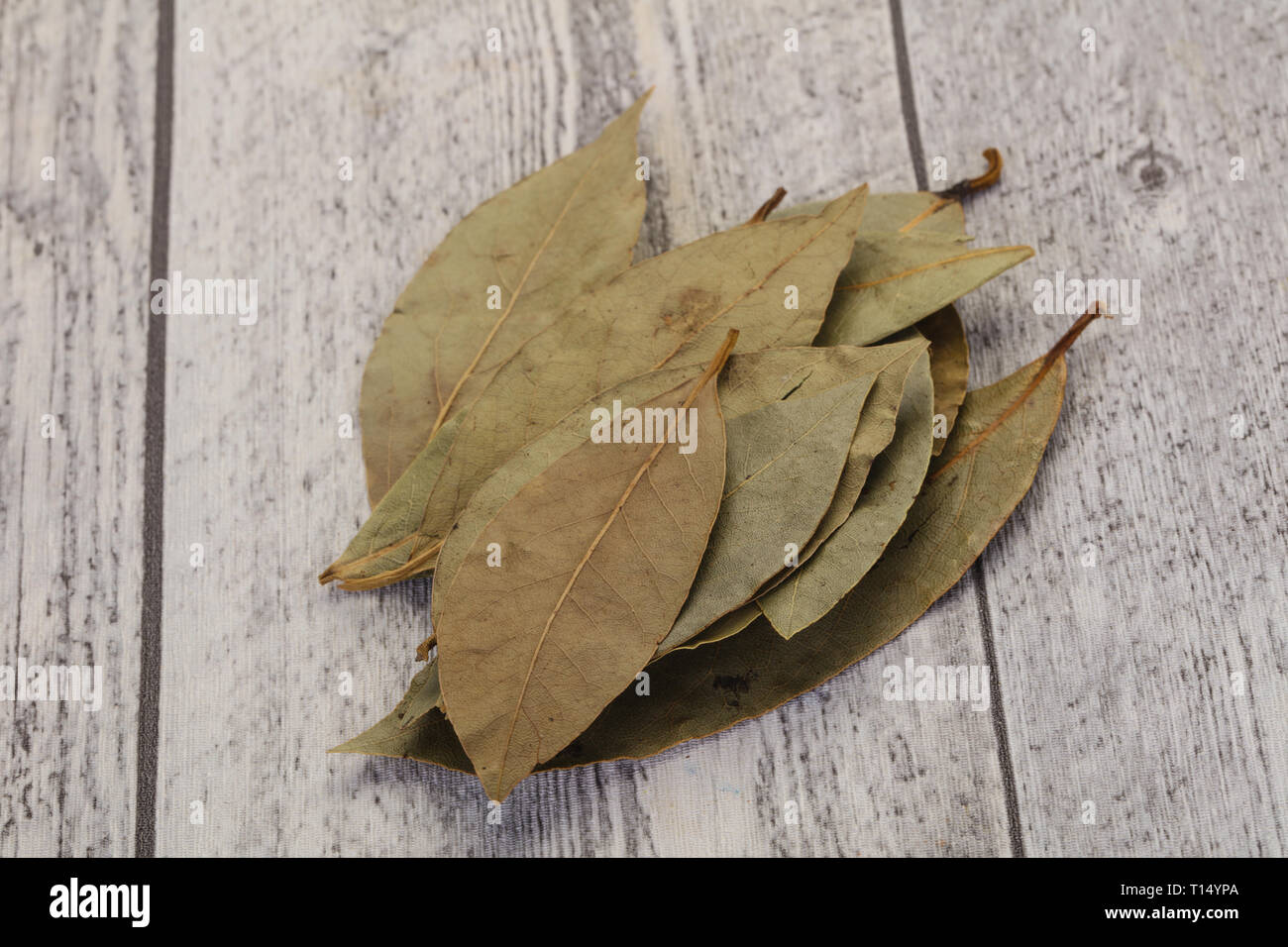 Dry laurel leaves  ready for cooking Stock Photo  Alamy