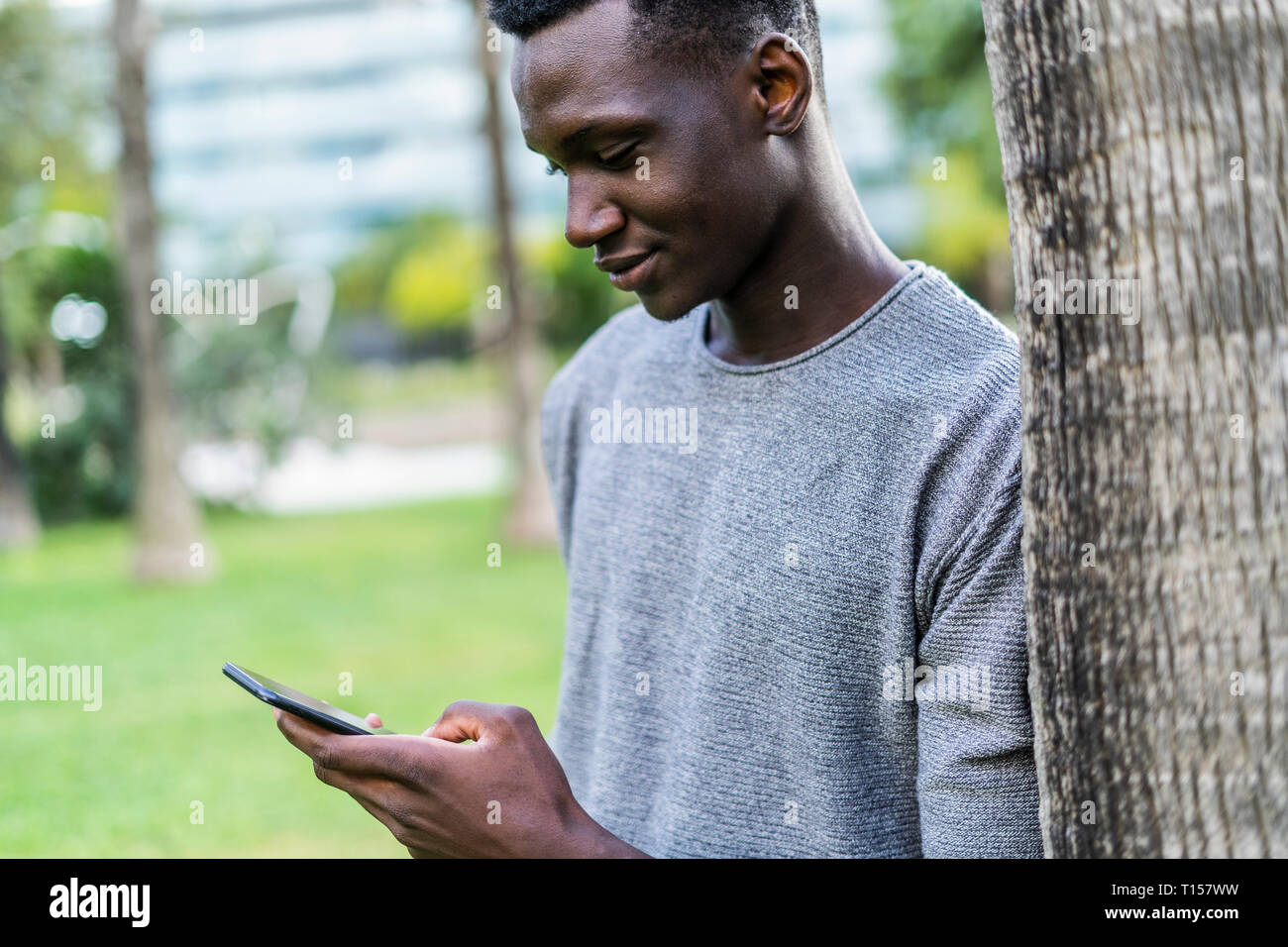 Young man leaning on tree trunk in a park, using smartphone Stock Photo