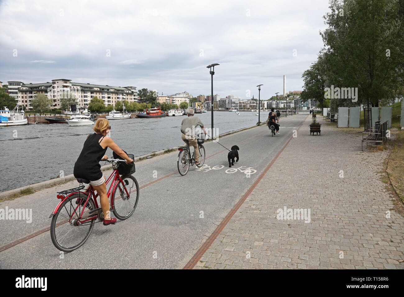 (eds) the urban fabric of crime and fear. Hammarby Sjöstad Stockholm Sweden . Stockholm Sweden 20180707 Cyclists In Hammarby Sjostad Stockholm Photo Jeppe Gustafsson Stock Photo Alamy