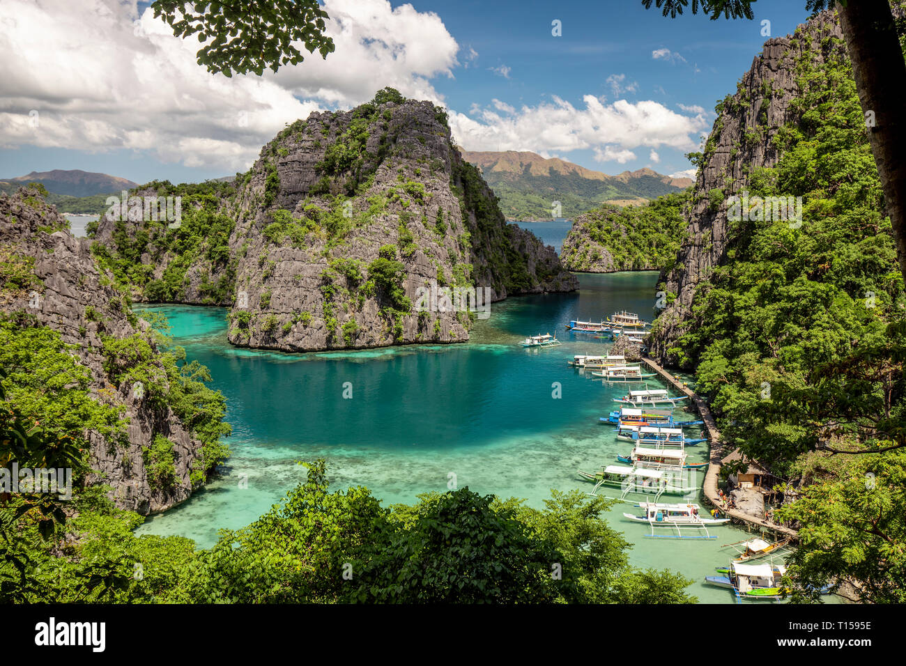Philippines, Palawan, Coron Island, Kayangan Lake Stock Photo - Alamy