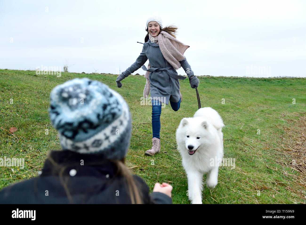 Two girls having fun with dog outdoors Stock Photo