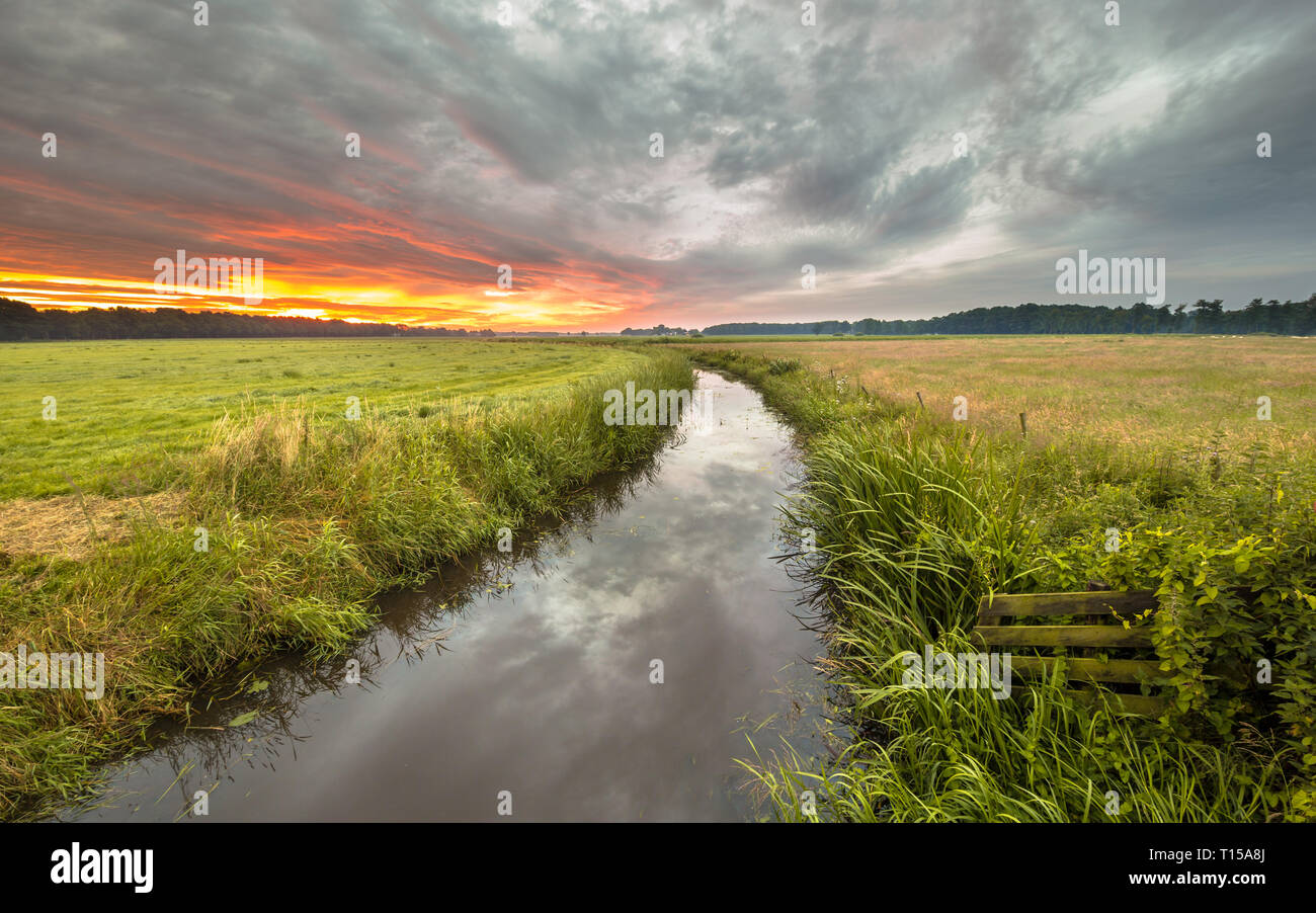 Summer river landscape hi-res stock photography and images - Alamy