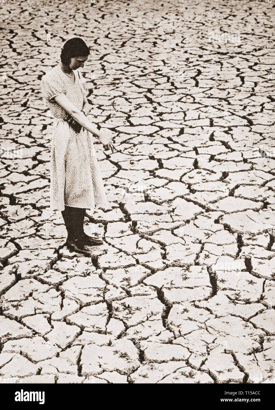 Following a dry summer in 1933, the heart wave of June and July, the following year resulted in a water shortage as reservoirs dried out, like that in Tring, Hertfordshire, England. Stock Photo
