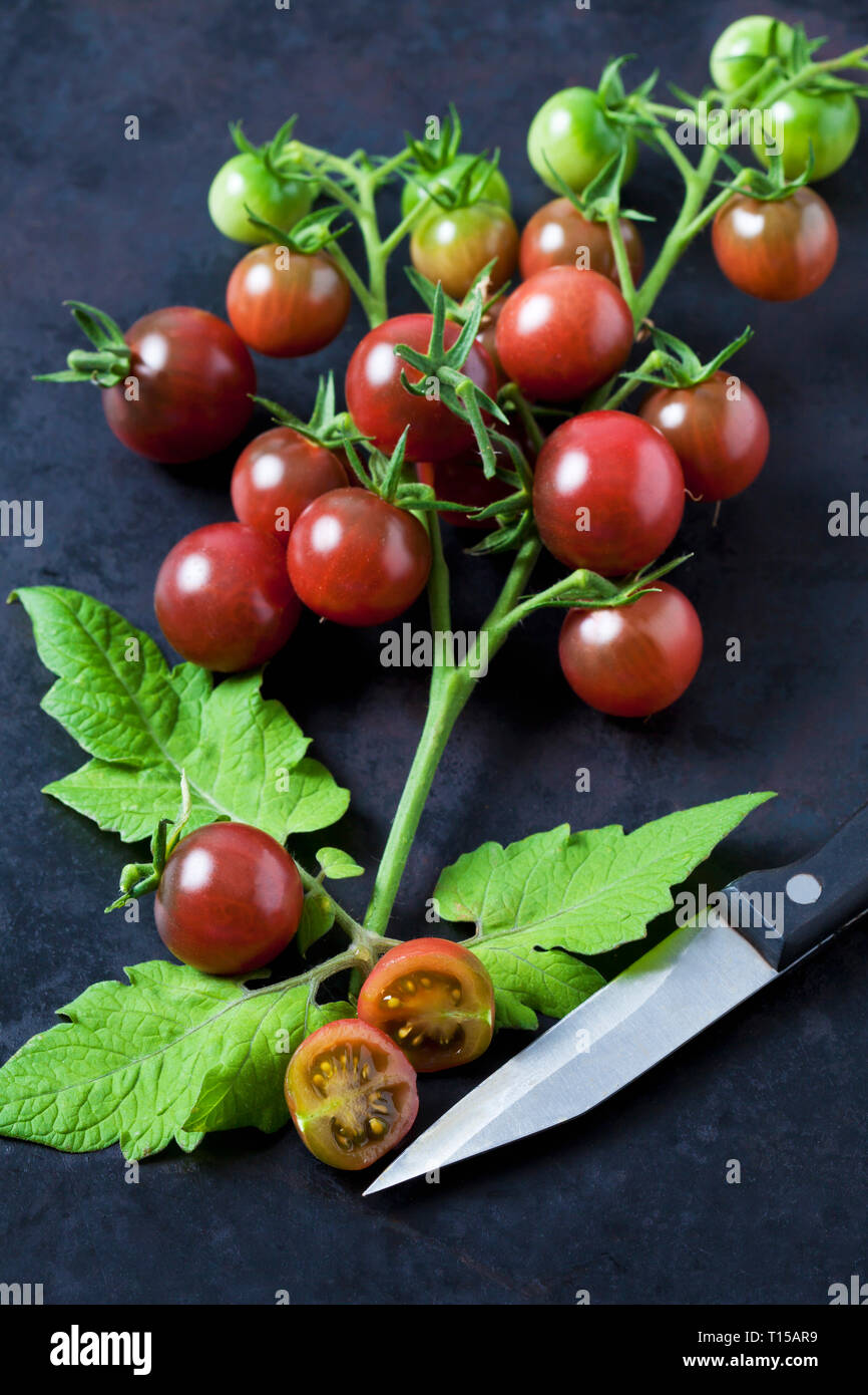 Risp tomatoes 'Black Cherry', leaves and kitchen knife on dark ground Stock Photo