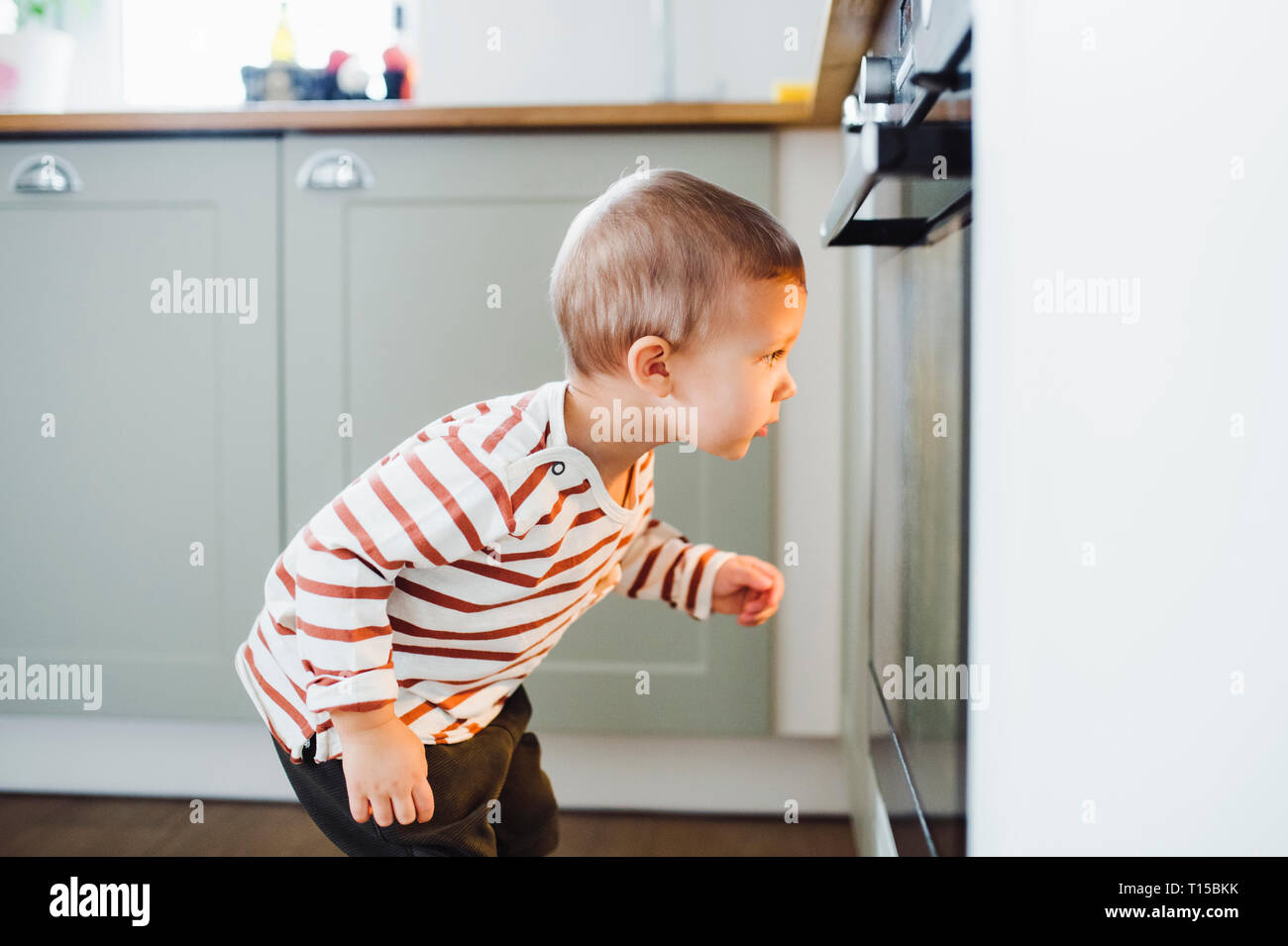 Toddler boy looking at oven in kitchen at home Stock Photo Alamy