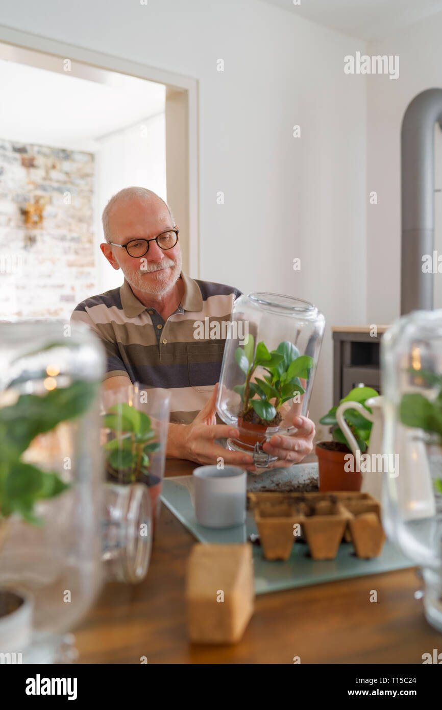 Senior man making glass biotopes at home Stock Photo