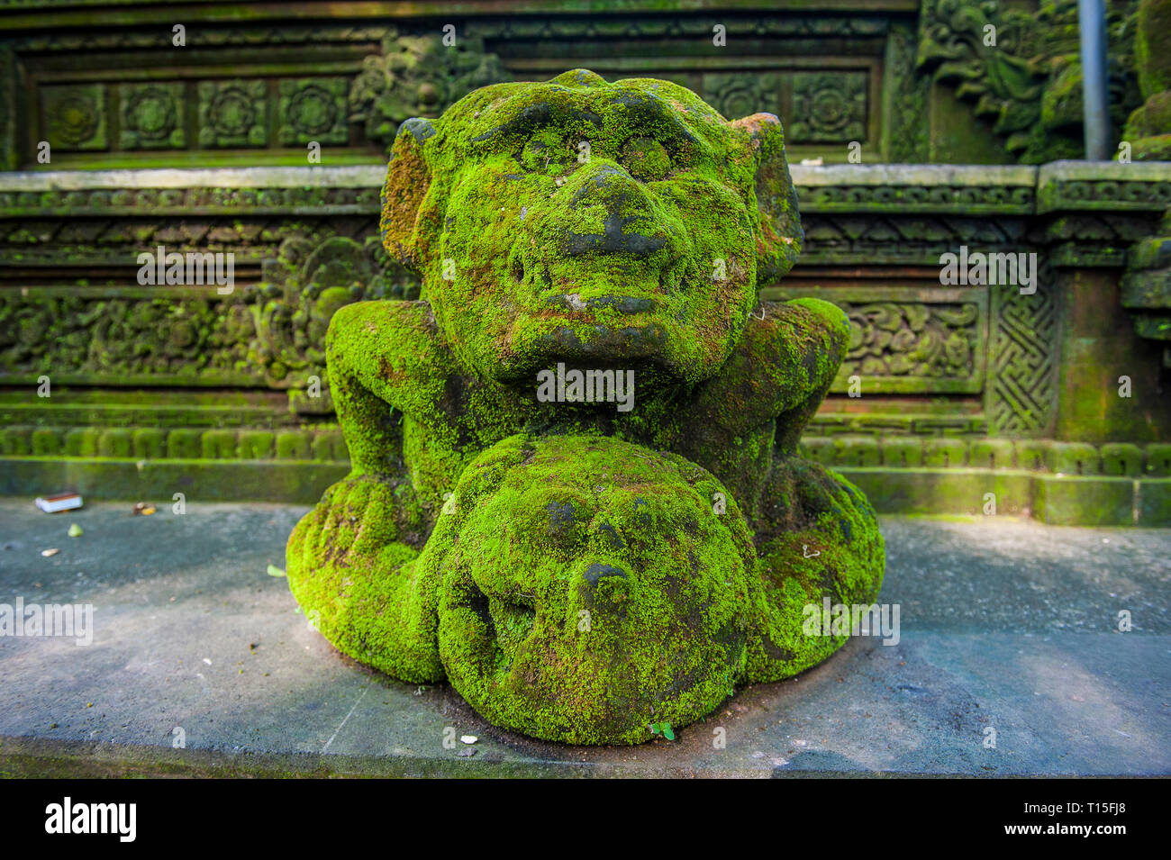 Indonesia, Bali, Ubud Monkey Forest, Overgrown statue Stock Photo