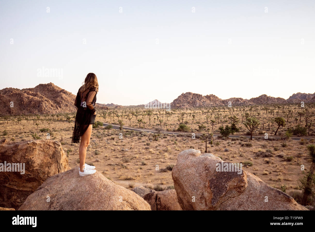 USA, California, Los Angeles, woman on rock overlooking landscape in Joshua Tree National Park Stock Photo