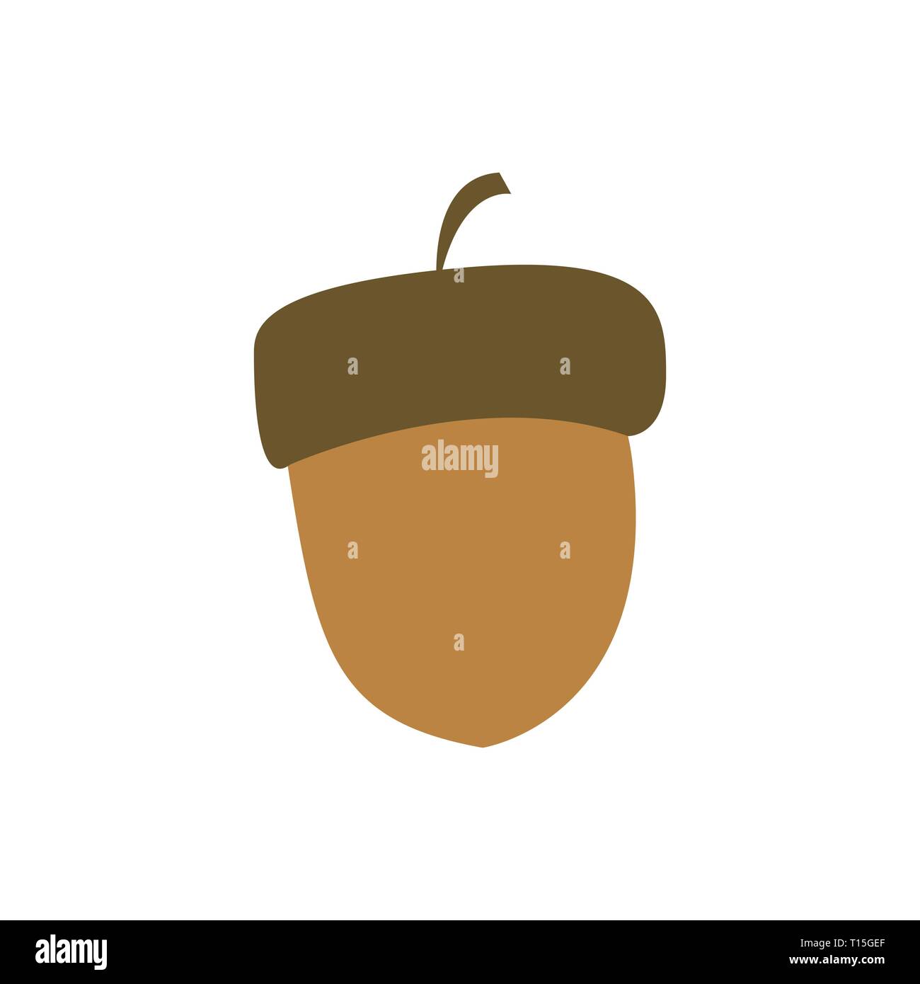 Dried Acorn Vector Symbol Illustration Graphic Design Template Stock ...