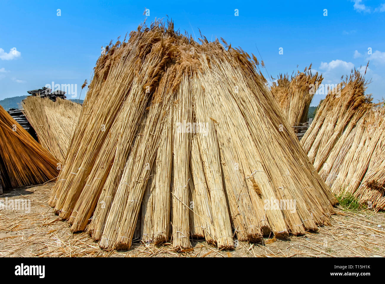 Wickers High Resolution Stock Photography and Images - Alamy