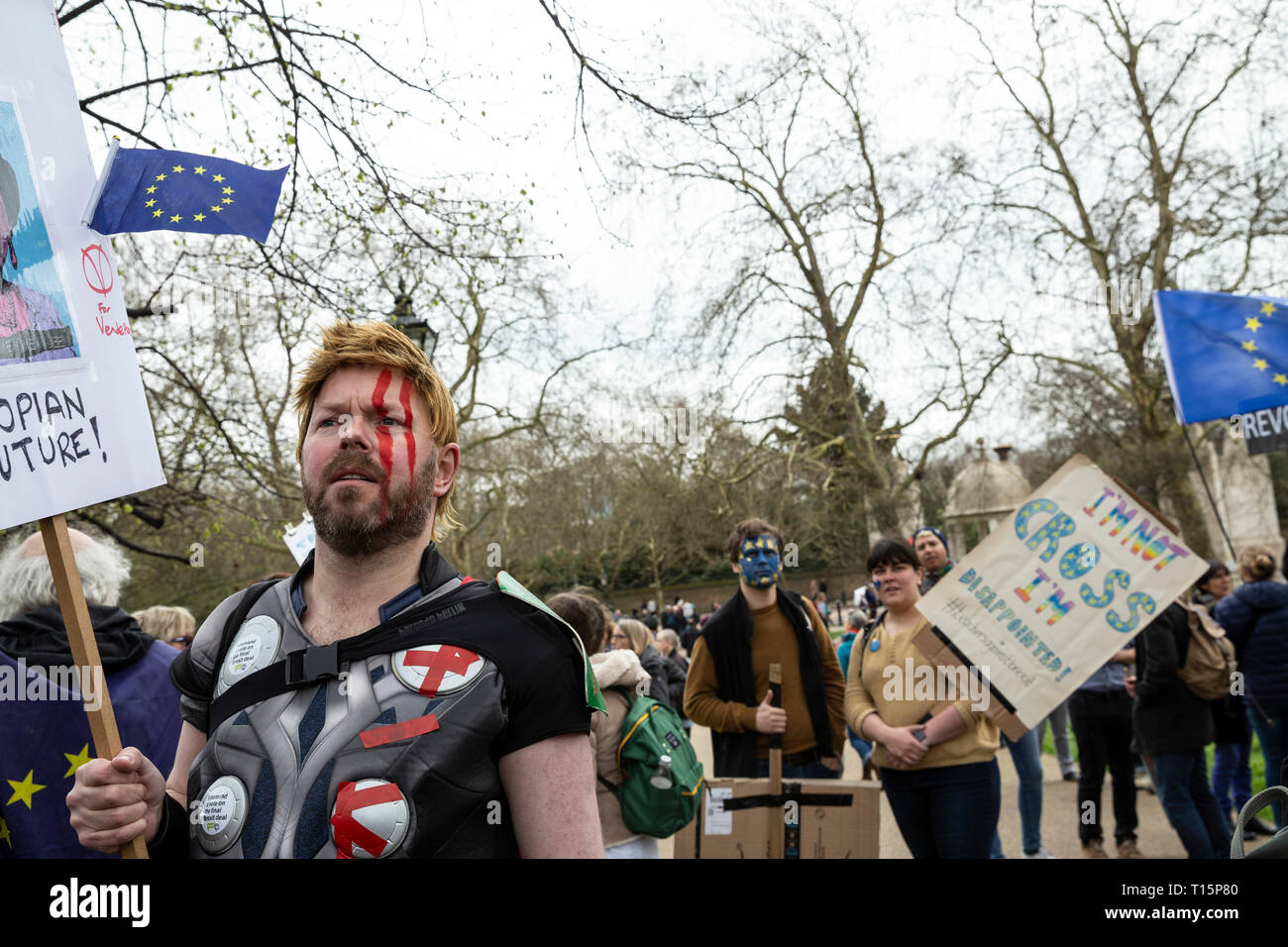 London, UK. 23rd Mar, 2019. Hundreds of thousands of people have joined Brexit march protest to demand new referendum in Central London, UK Credit: tottotophotography/Alamy Live News Stock Photo