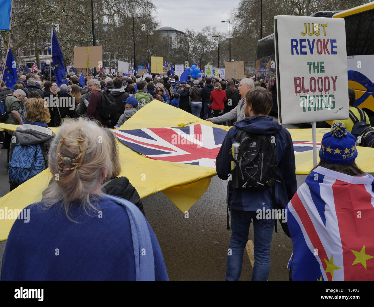 London, England. 23rd March, 2019.  Thousands of people march to Westminster to demand a second referendum on whether or not Britain should leave the EU.  Credit: Anna Stowe/Alamy Live News Stock Photo