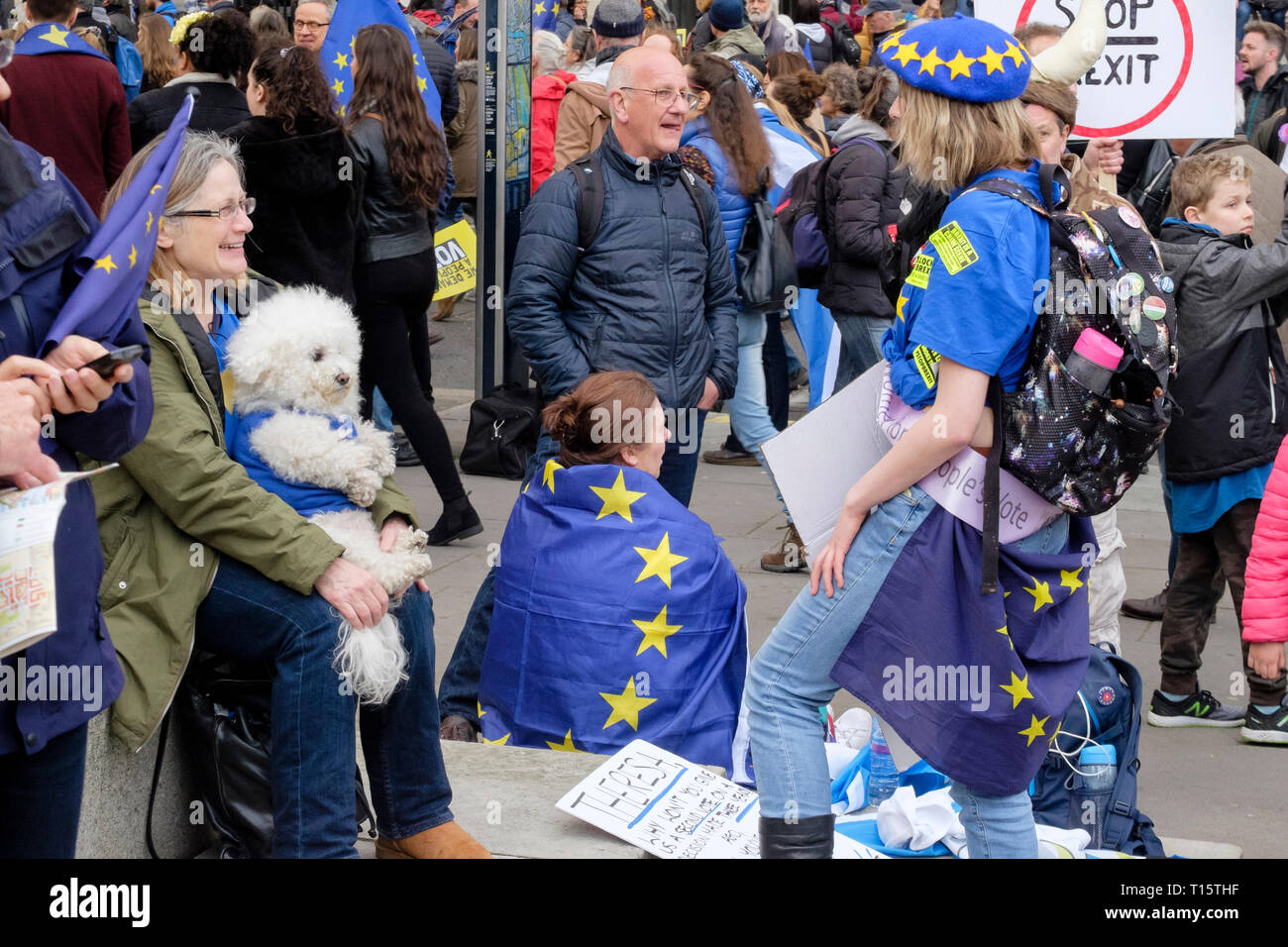 London, UK. 23rd March 2019. Hundreds of thousands of people march through central London demanding a second vote on the UK's membership of the European Union. Pictured: Marchers gather to listen to speeches in Parliament Square. Credit: mark phillips/Alamy Live News Stock Photo
